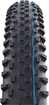 Amazon | シュワルベ 【正規品】 レーシングレイ 29×2.25 ケブラー